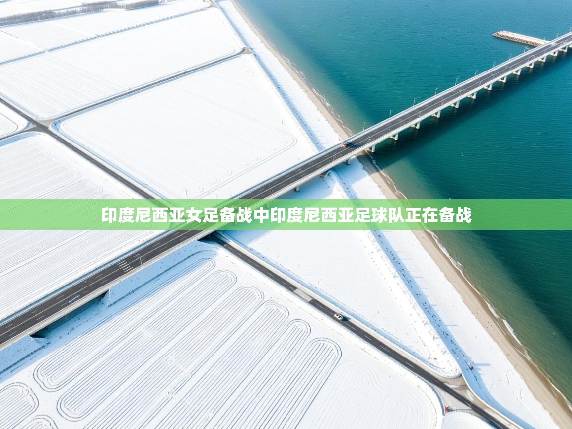 印度尼西亚女足备战中印度尼西亚足球队正在备战  第2张